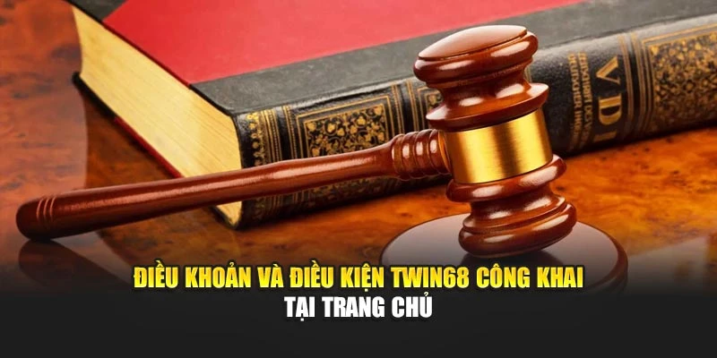 Điều khoản và điều kiện TWIN68 công khai tại trang chủ